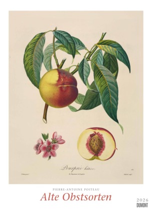 Pierre Antoine Poiteau: Alte Obstsorten 2026 - DUMONT Kunst-Kalender - Poster-Format 50 x 70 cm