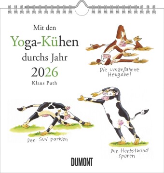 Mit den Yoga-Kühen durchs Jahr 2026 - Wandkalender - Quadratformat 23 x 23 cm