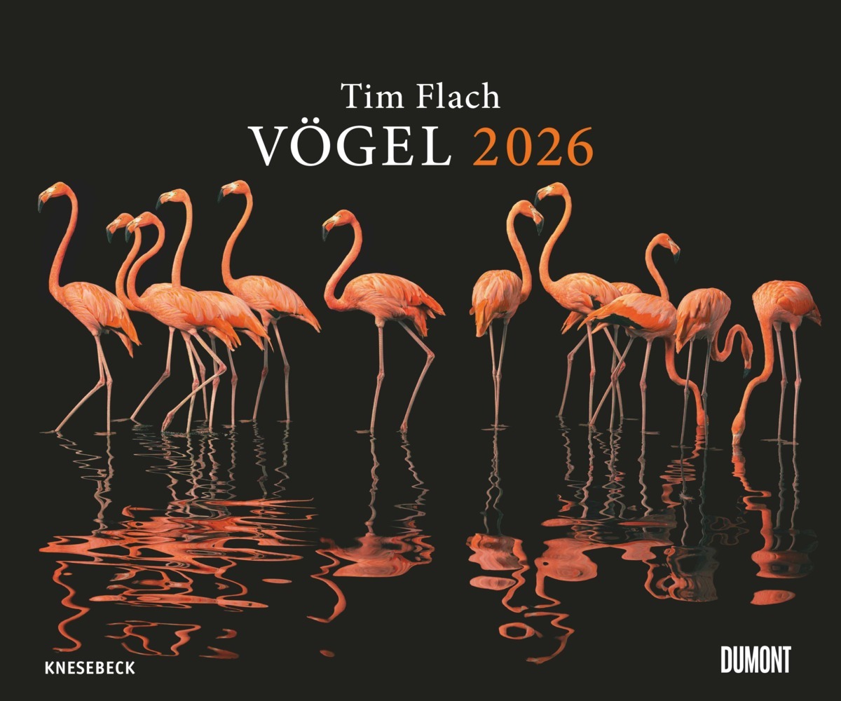 Tim Flach: Vögel 2026 - Posterkalender von DUMONT- Vogel-Porträts von Tim Flach - Poster-Format 50 x 70 cm main product photo