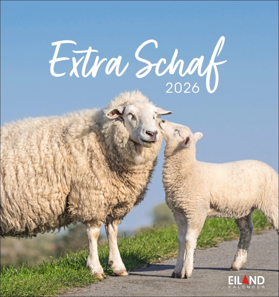 Extra Schaf Postkartenkalender 2026 main product photo