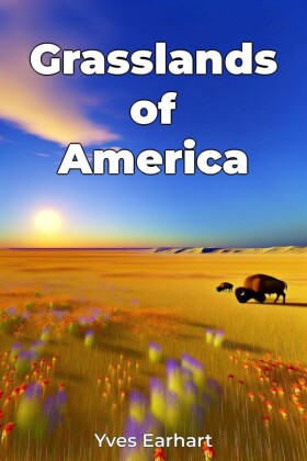 Grasslands of America