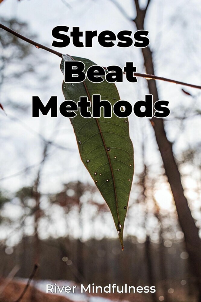 Stress Beat Methods main product photo