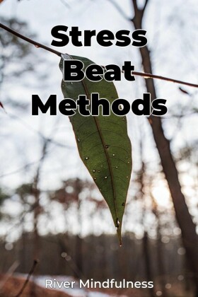 Stress Beat Methods