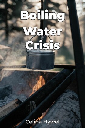 Boiling Water Crisis