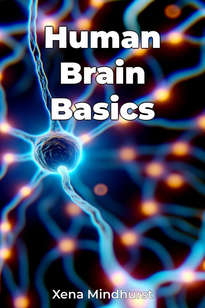 Human Brain Basics main product photo