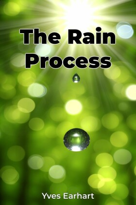 The Rain Process