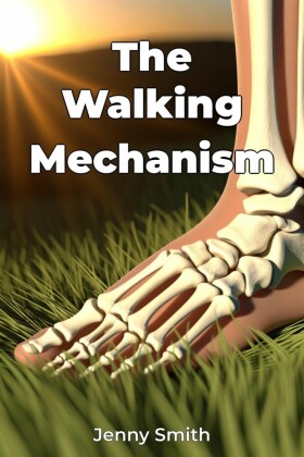 The Walking Mechanism