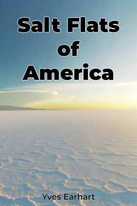 Salt Flats of America