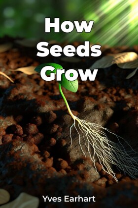 How Seeds Grow