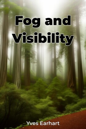 Fog and Visibility