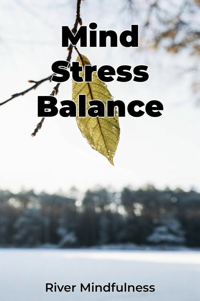 Mind Stress Balance main product photo