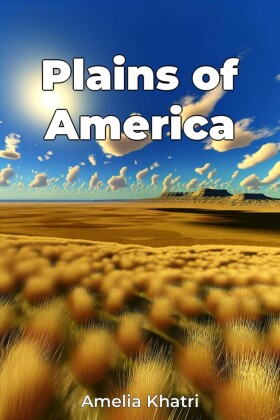Plains of America