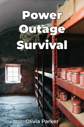 Power Outage Survival