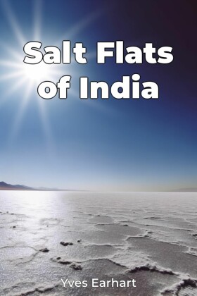 Salt Flats of India