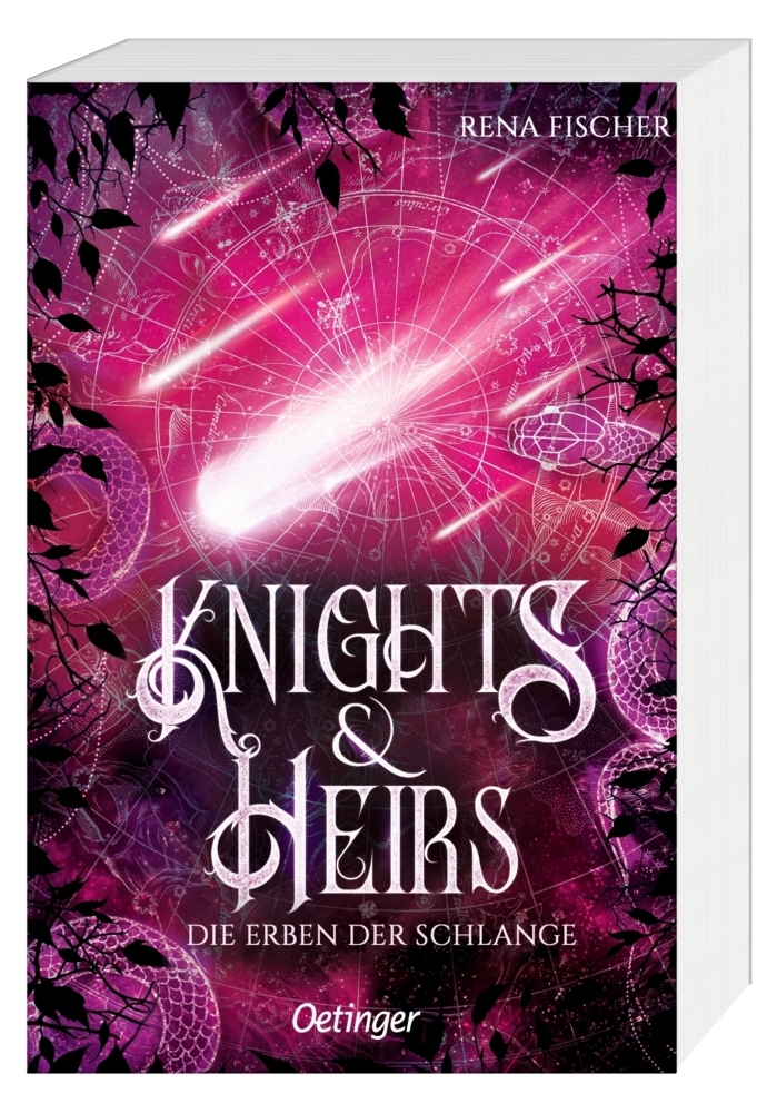 Knights & Heirs 2. Die Erben der Schlange main product photo