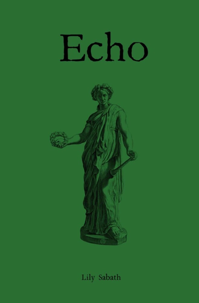 Echo main product photo