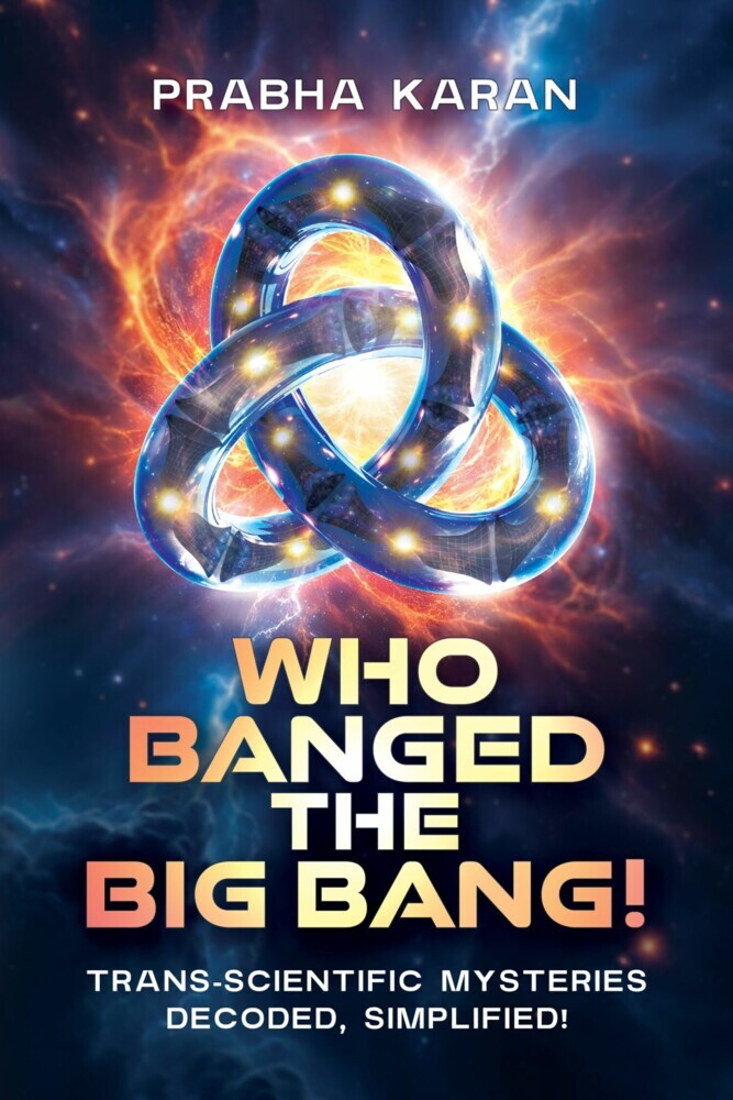 Who Banged the Big Bang! main product photo