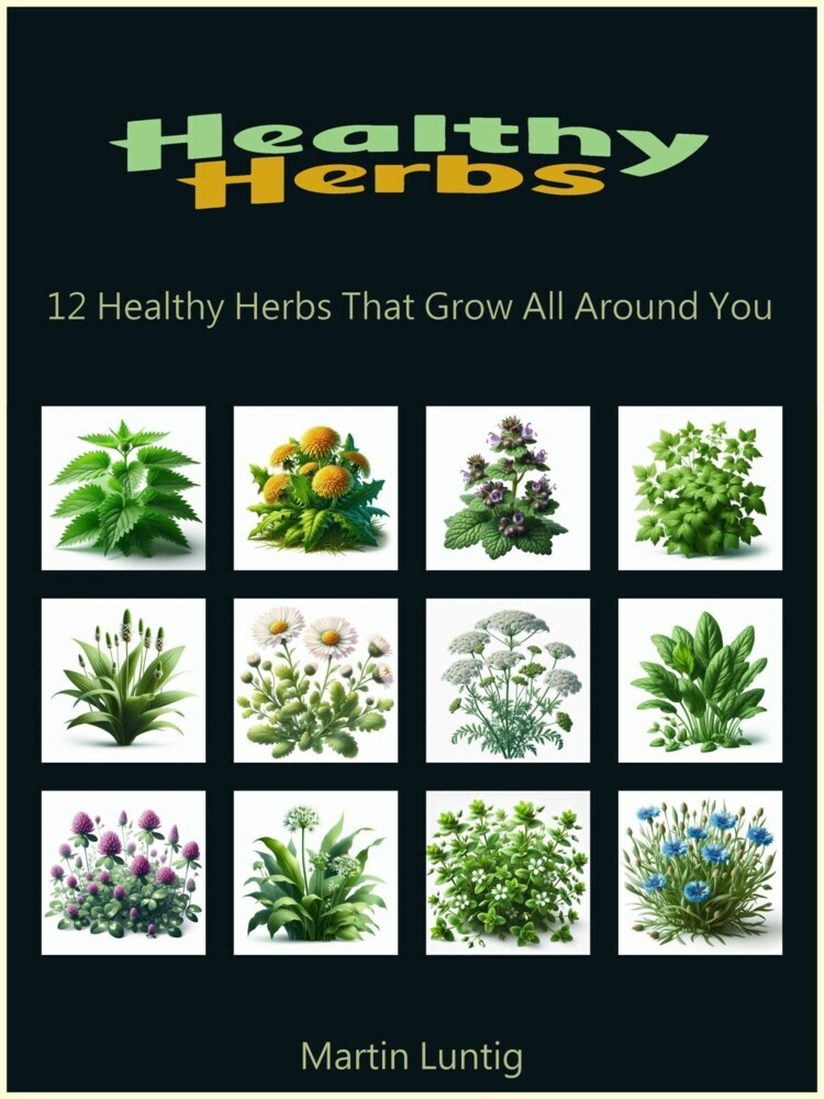 Healthy Herbs main product photo