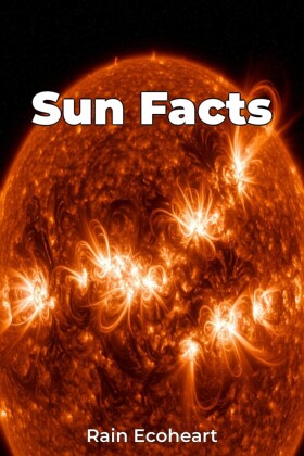 Sun Facts