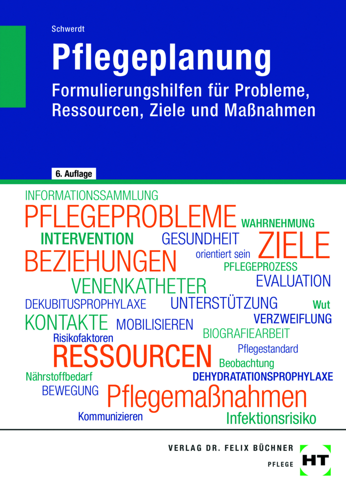 eBook inside: Buch und eBook Pflegeplanung, m. 1 Buch, m. 1 Online-Zugang main product photo