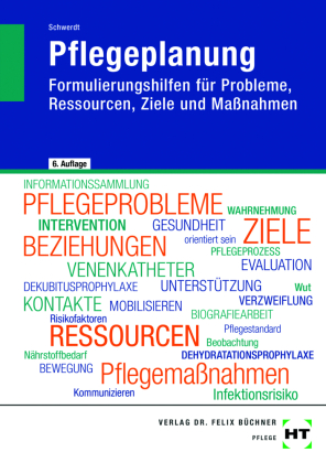 eBook inside: Buch und eBook Pflegeplanung, m. 1 Buch, m. 1 Online-Zugang