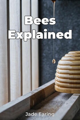 Bees Explained
