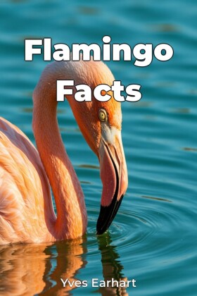 Flamingo Facts