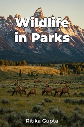 Wildlife in Parks