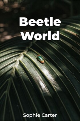 Beetle World