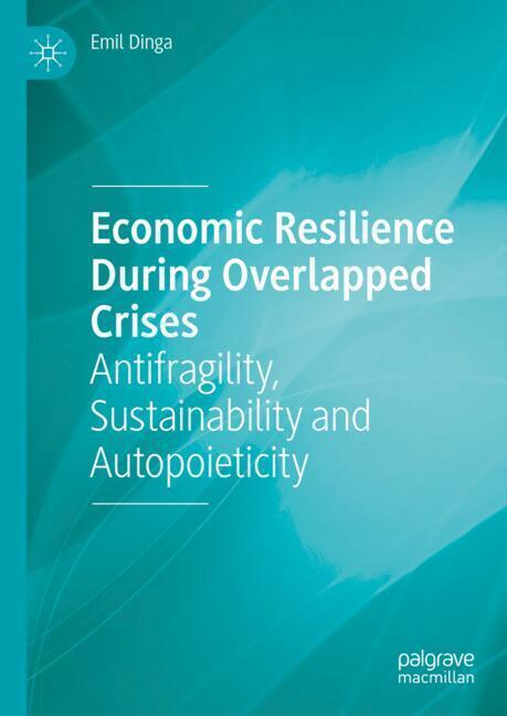 Economic Resilience During Overlapped Crises main product photo