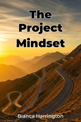 The Project Mindset
