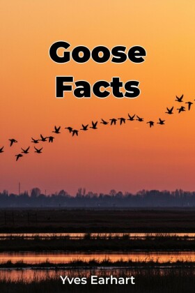 Goose Facts