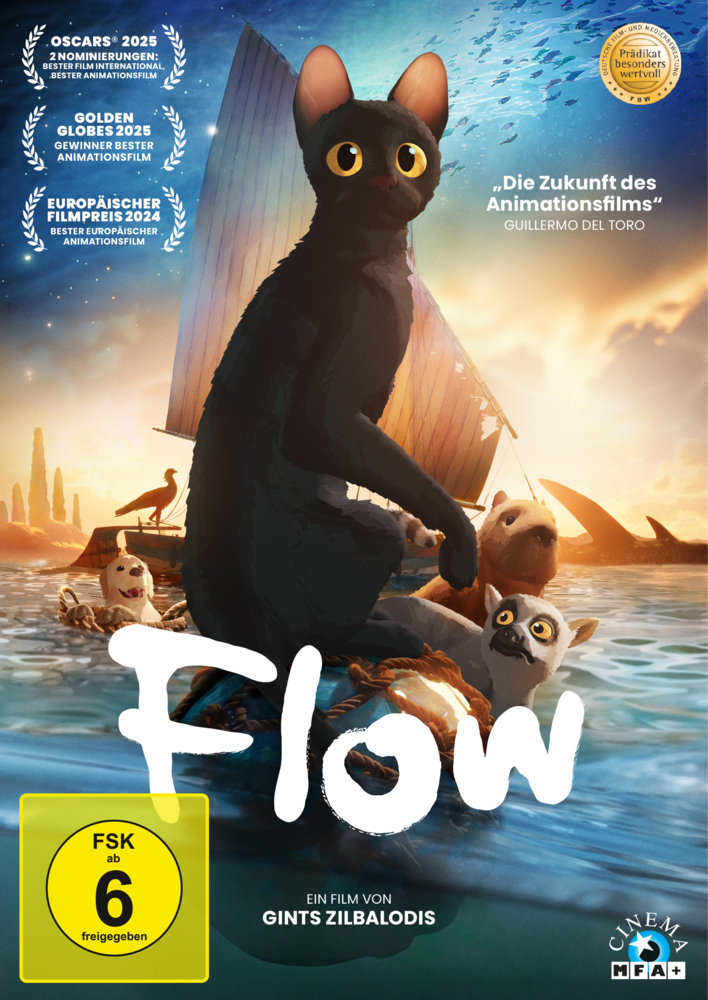 Flow, 1 DVD main product photo