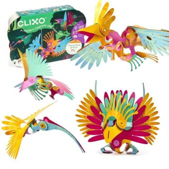 CLIXO - Tropical Birds