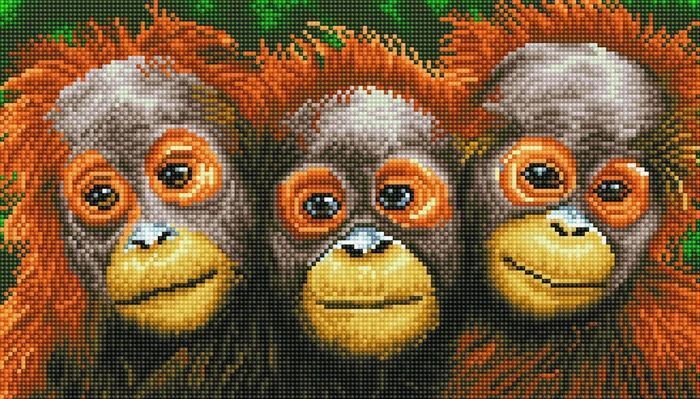 DIAMOND DOTZ - Diamond Painting Orang Utans main product photo