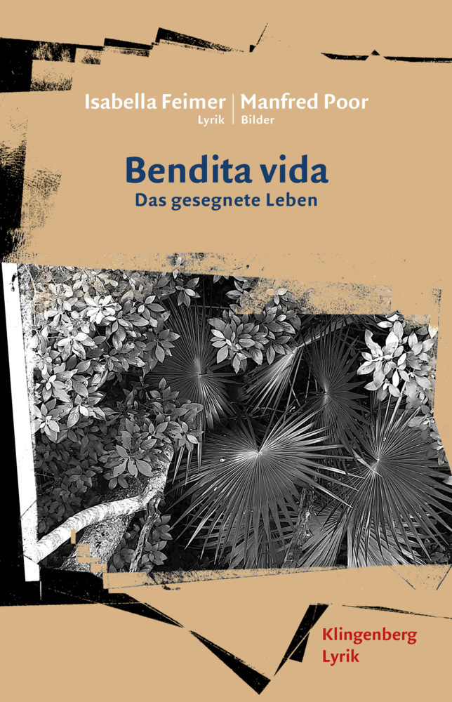 Bendita Vida main product photo