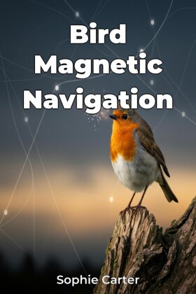 Bird Magnetic Navigation