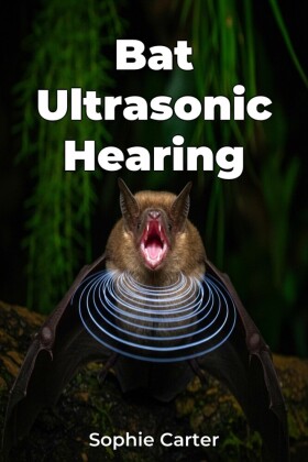 Bat Ultrasonic Hearing