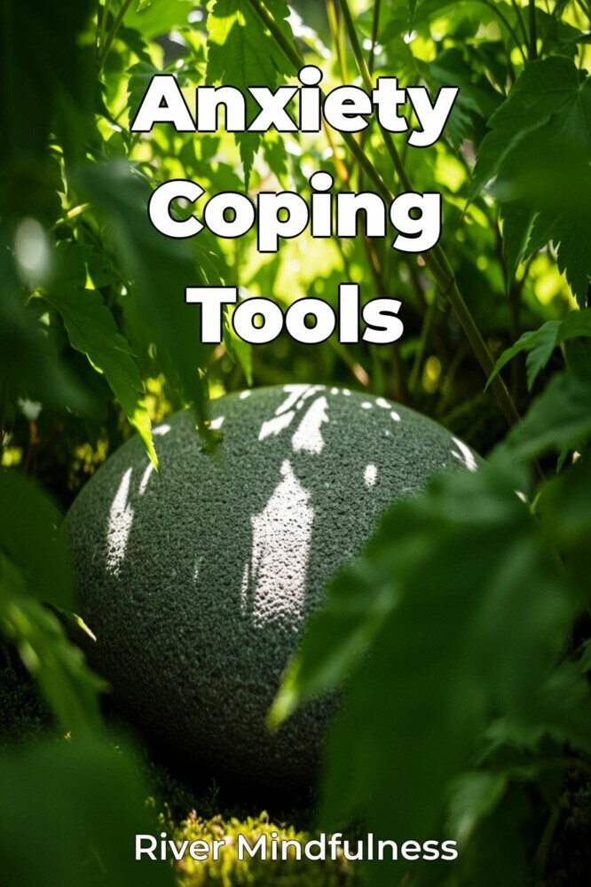 Anxiety Coping Tools main product photo