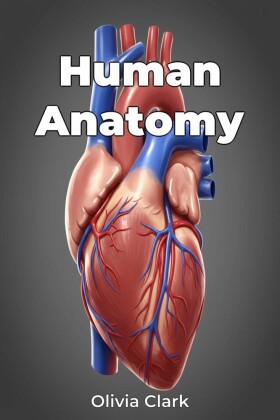 Human Anatomy