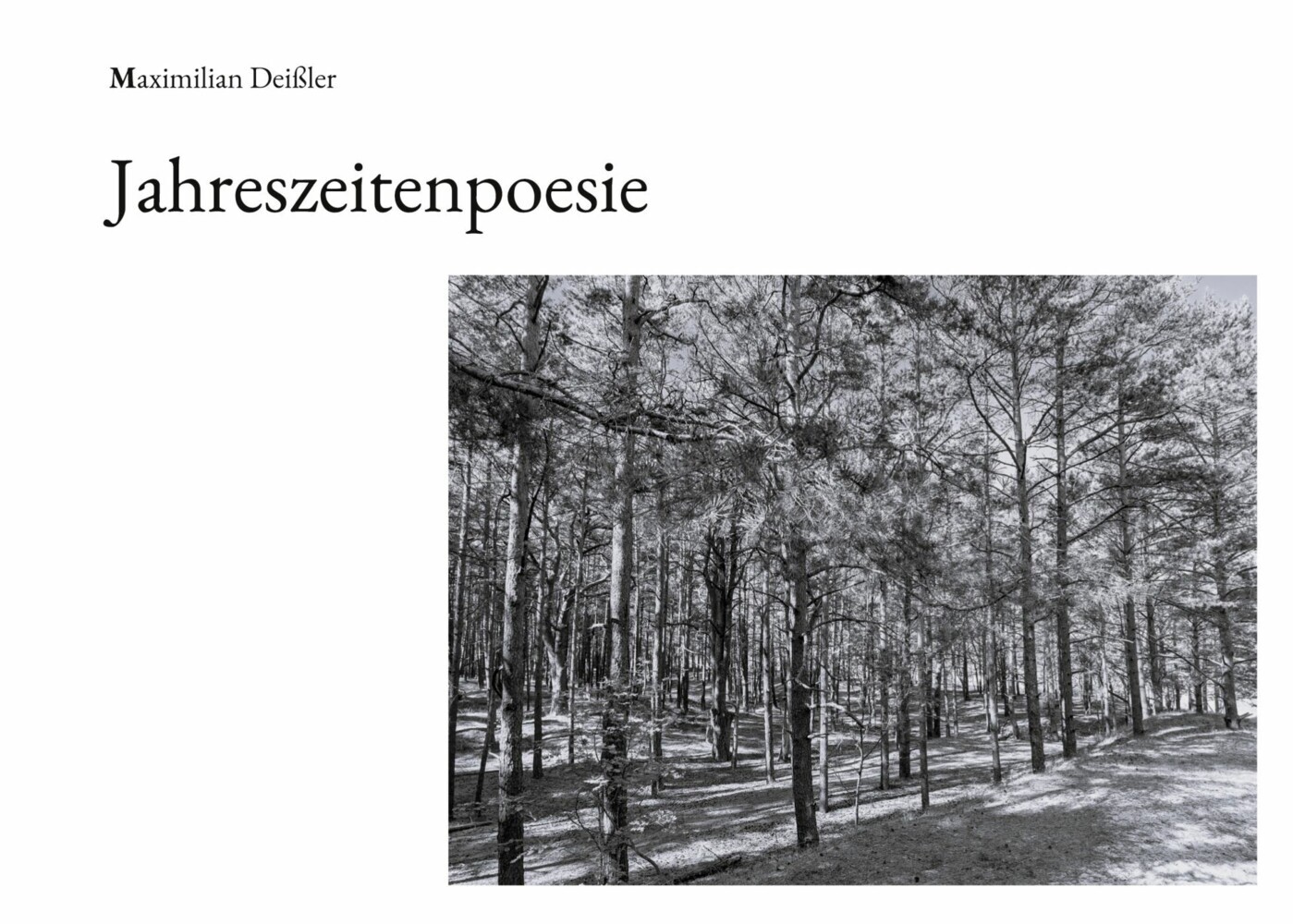 Jahreszeitenpoesie main product photo