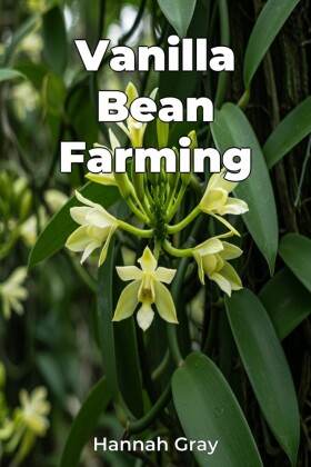 Vanilla Bean Farming