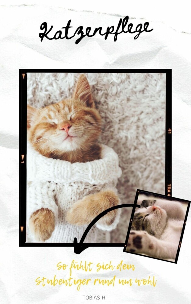 Katzenpflege - so fühlt sich dein Stubentiger rund um wohl main product photo