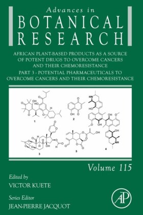 African Plant-Based Products as a Source of Potent Drugs to Overcome Cancers and their Chemoresistance