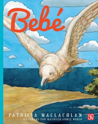 Bebé