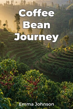 Coffee Bean Journey