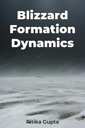 Blizzard Formation Dynamics