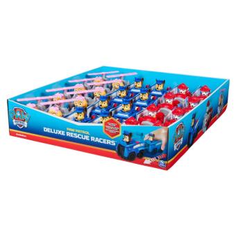 PAW Deluxe Rescue Racers