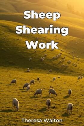 Sheep Shearing Work