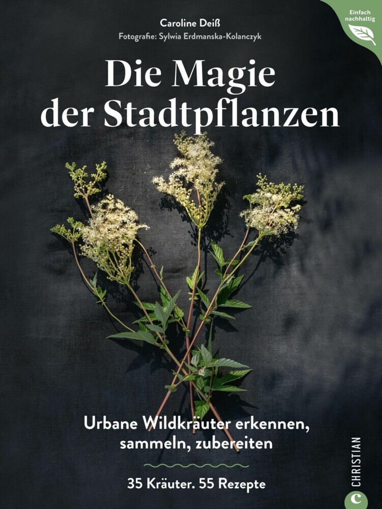 Magie der Stadtpflanzen main product photo